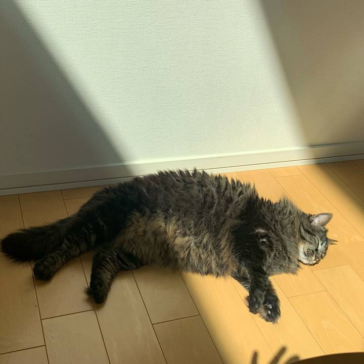 D156d30d b0e2 4071 86b2 706655279d3e 1743392398732