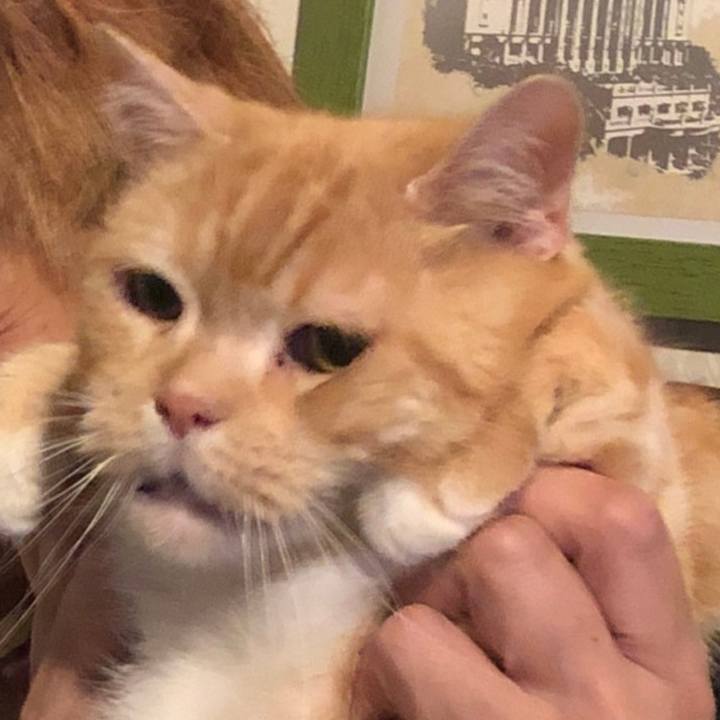 D157211b 9872 4045 8e3a b96552d0e7c2 1593219444526