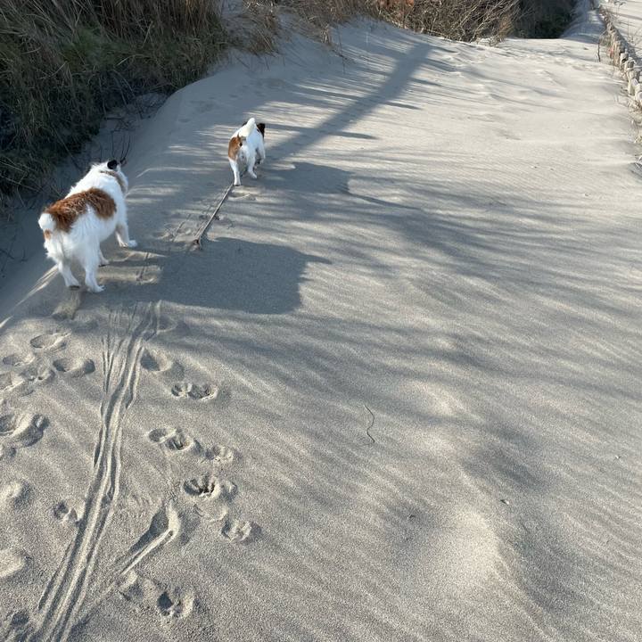 D1572e7b 42fd 469b a342 be4260e85f90 1649549996319