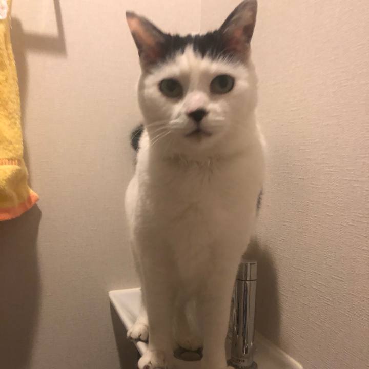 D1574fe0 95e1 45a1 84dd c45e3428794d 1584714750419