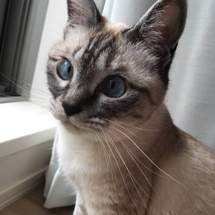 D1576a63 7ac0 4b20 aa1a 0793d89fe5a7 1592870314950