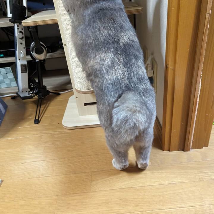 D157ce0b abd7 4f9a af98 46e62a91e586 1709525216132