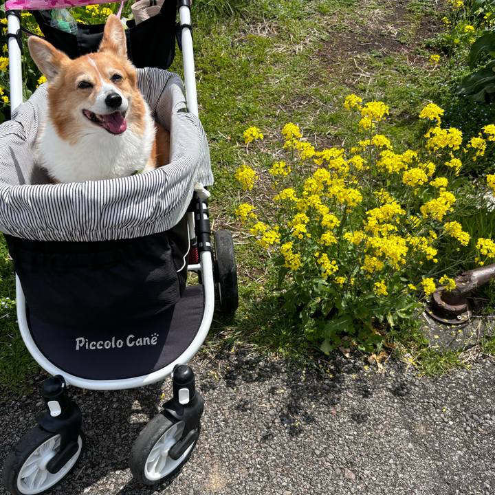 D15804c8 39b8 4fca a042 cd9a8f989bcc 1744684420526