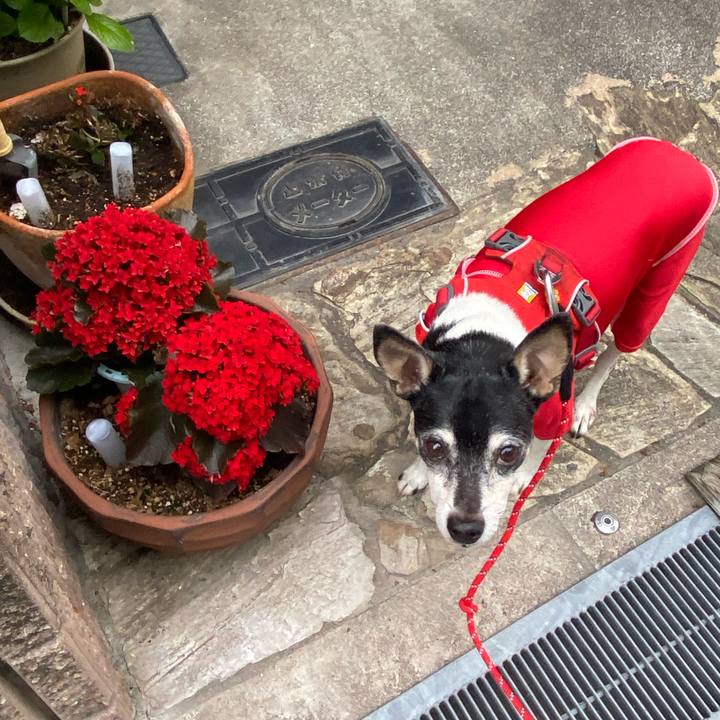 D1583c8d 1516 4553 9608 55942c1981cb 1618524842821