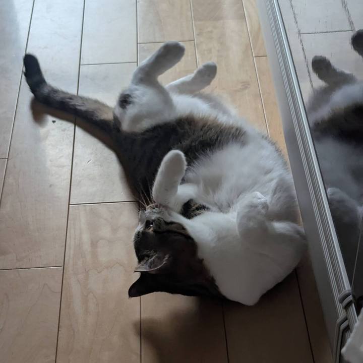 D15856c9 8264 4213 ba29 05be836bfe43 1744699583101