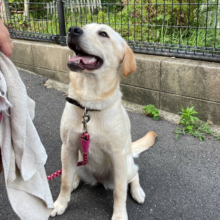 D1586b3f c842 41bd 8356 c486efc44ddc 1624175598515