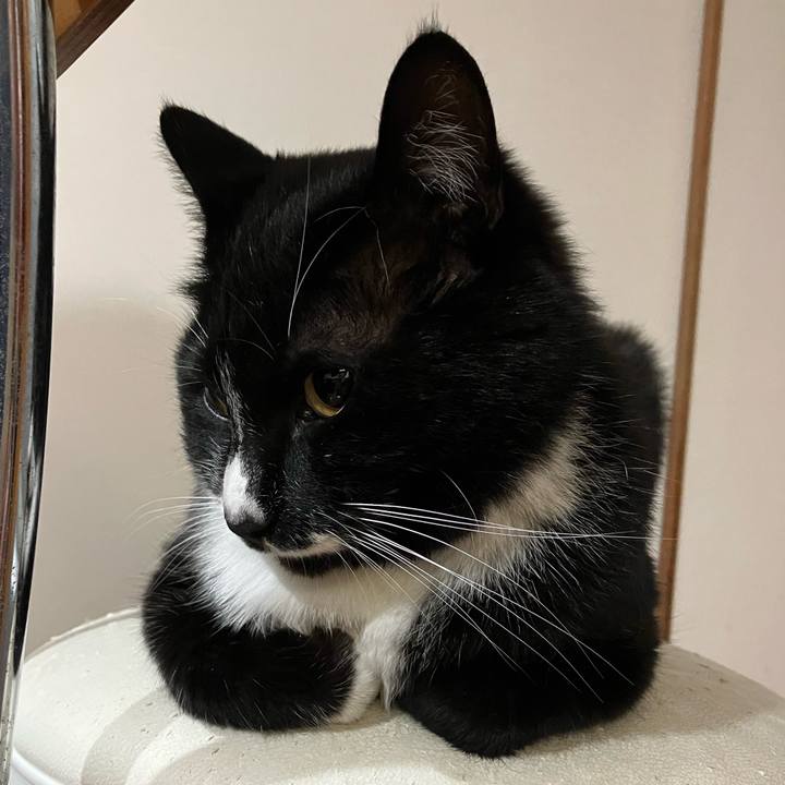 D1587e4e fa0f 4ad4 9b15 ef88dab5f0b7 1688096260345