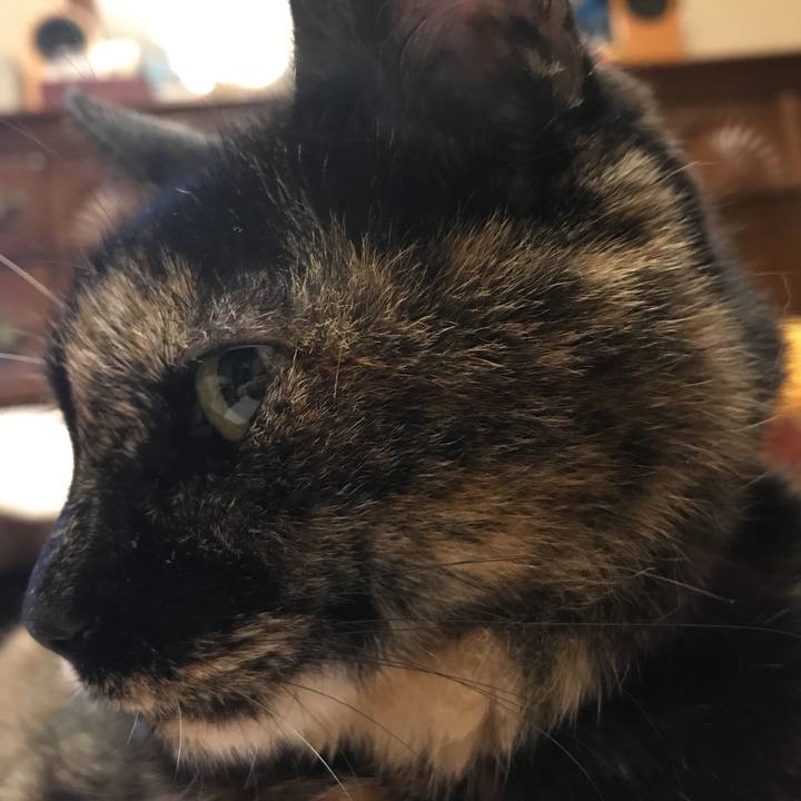 D1589345 ac96 4c8c 92bf c779ac9acc01 1527945081730