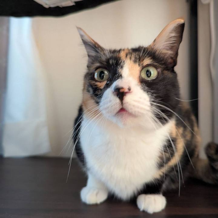 D158debb cdc8 4269 9caf b29064246c44 1754301761020