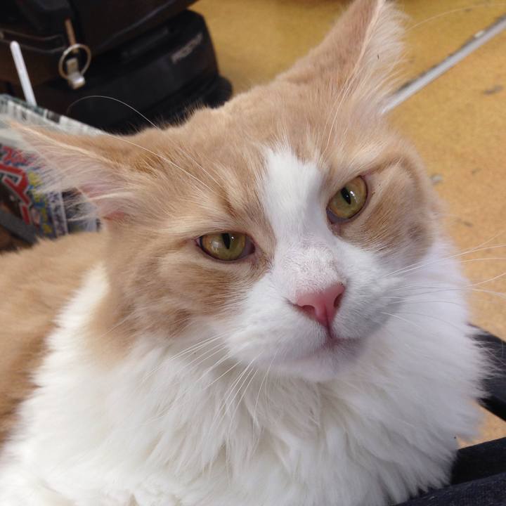 D158defc e093 44bb 8158 3306f3c2d763 1507939101570