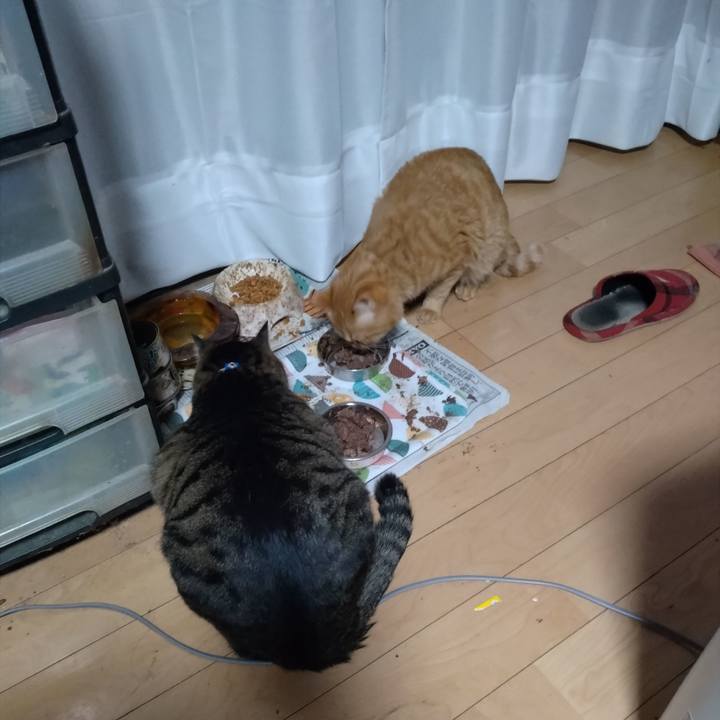 D158df5d a58f 4532 92d7 2130af5cdc0b 1671836095305