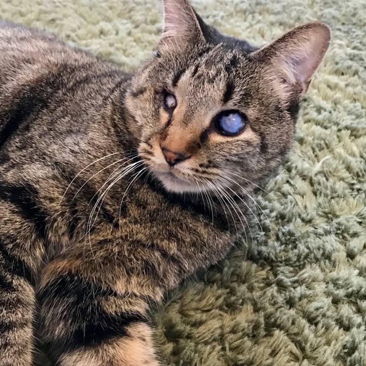 D1591a04 ab95 4959 b90c 7079a205b30f 1555313655059