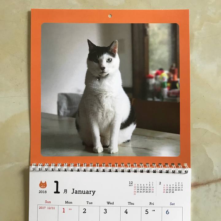 D15923aa b40d 4139 b1b5 f995123596e8 1511138432064