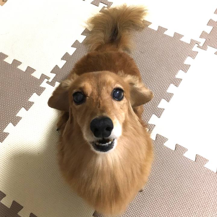 D15985ed 271f 4f5e a57c 7c679c7ce757 1601212868275