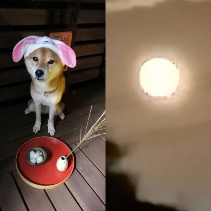 D15993a0 9d08 46f6 8e17 b15a42568484 1632216774090