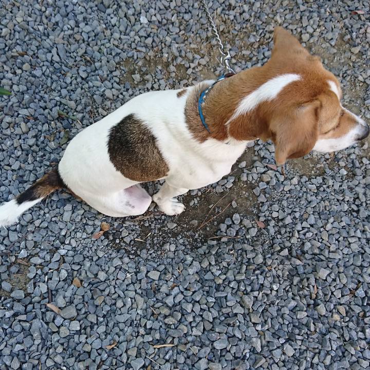 D1599dd6 b599 464b 8dbb bc1d6720403f 1570195940063