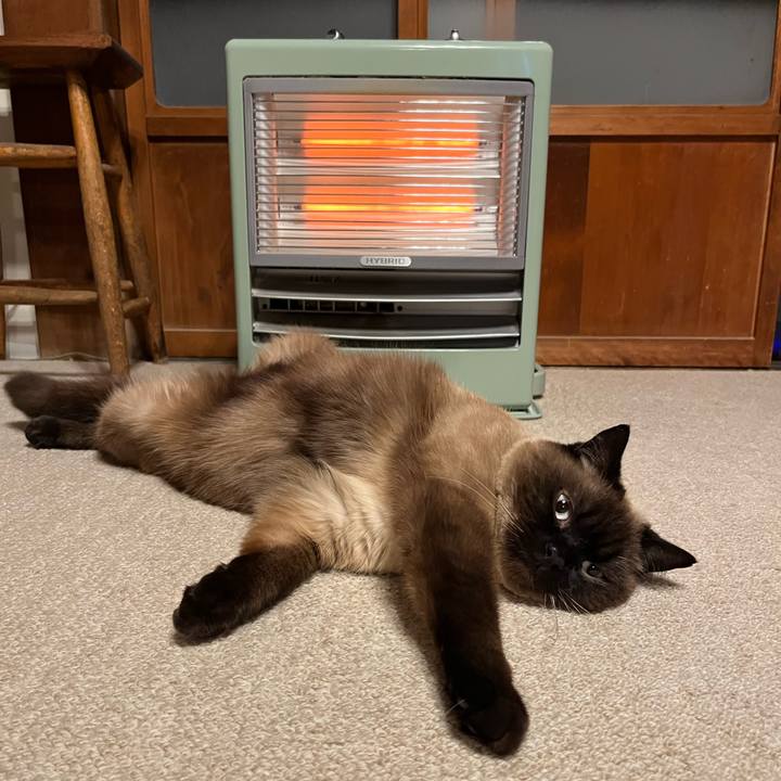 D159a5aa 40dc 4ec5 b09a 38fc7a3b31cd 1651399706724