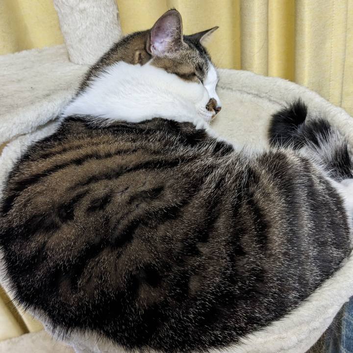 D159b4c6 fc37 425b b088 cd1de98f28e0 1681265174013