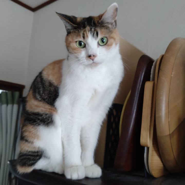 D15a0b89 5e54 43f8 943a 5541f01a4383 1647737222576