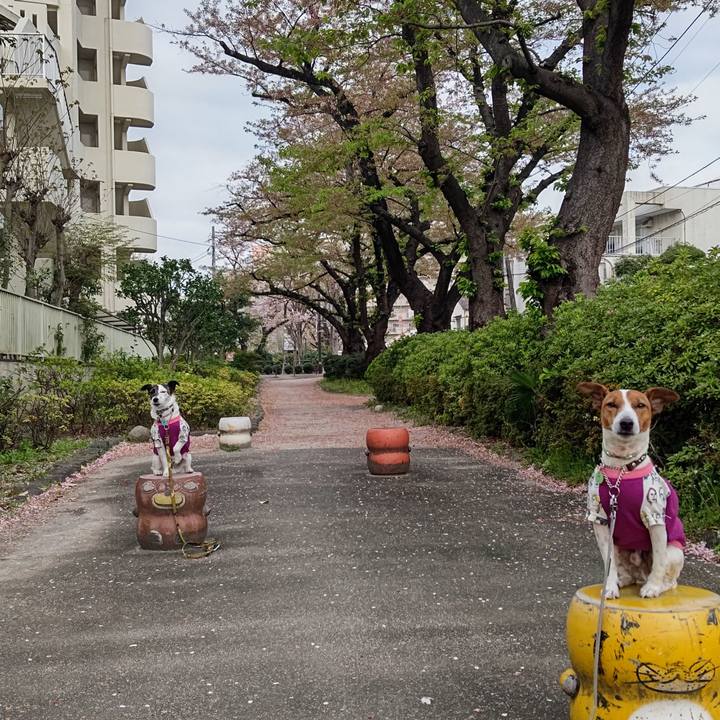 D15a1e25 22c0 4190 add8 80884b260402 1680473540990