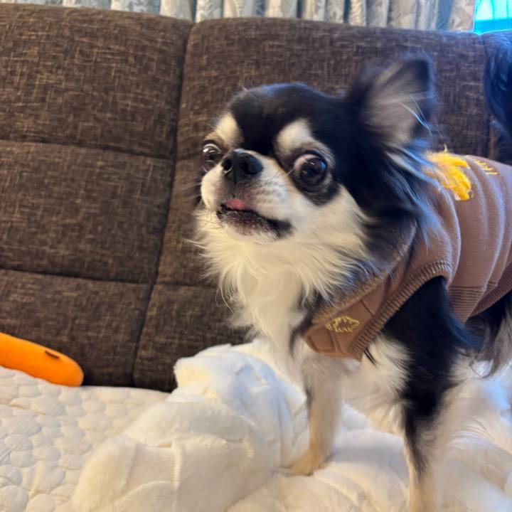 D15a4d7f f84e 4730 b4be 828eda77e68f 1734799212093