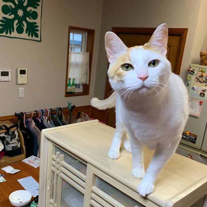 D15a54cf 4038 4a5a 992f 75a4dc56e5a1 1618825969373