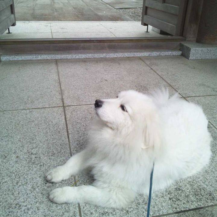 D15a85d4 5cc8 438a 8e47 fea86459049e 1679180595241