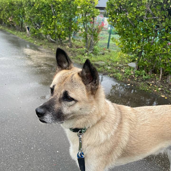 D15add17 f6f4 4f84 9c69 cbeb52701780 1665144766949