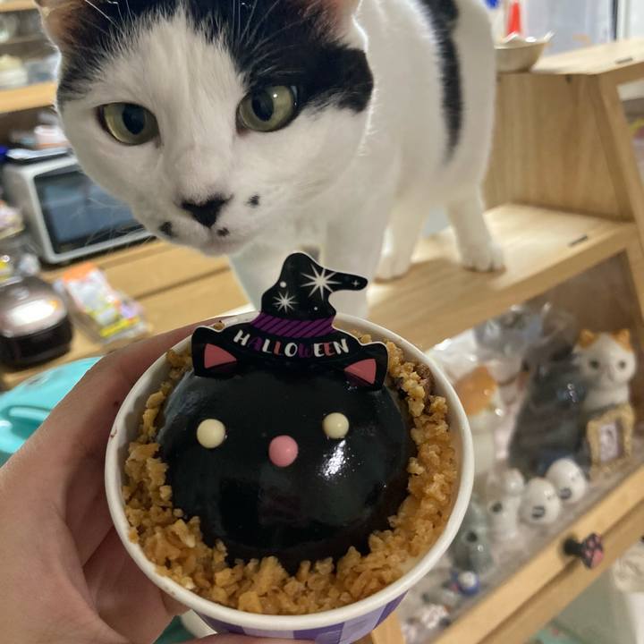 D15afe36 dd02 480f 8ad5 09db5ca8f96c 1761050194748