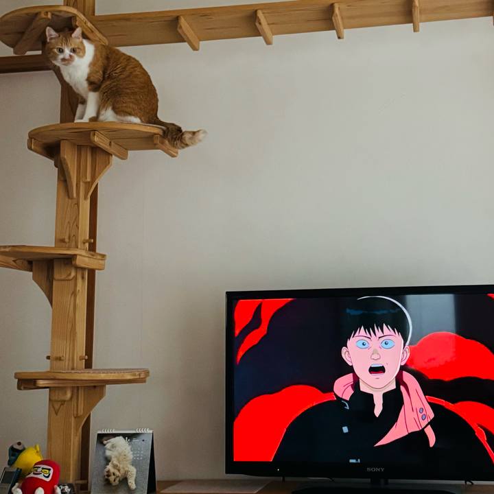 D15b595b 00dd 4618 bb6d 6ef233f9ede6 1767605966633