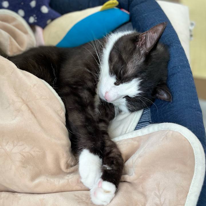 D15b920f 0c38 4bfb b6cb 20c88dfba11f 1633130479826