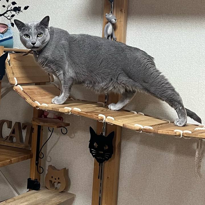 D15b99b4 2355 4161 8485 136f0651001a 1746620117407