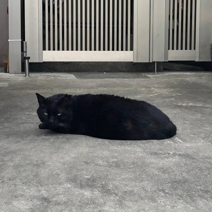 D15b9ec5 d119 468b 8c2c 9f2377b2b2a9 1558189493249