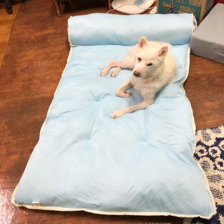 D15bcbca 6bb0 4f45 b163 63c594e485aa 1596030534006