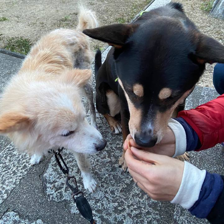 D15bebab 6290 440a 926f f08abbbe6140 1646830729372