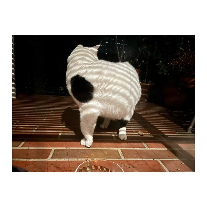 D15bf92c 4a8a 464d afbb c2f932bfee41 1671115518729