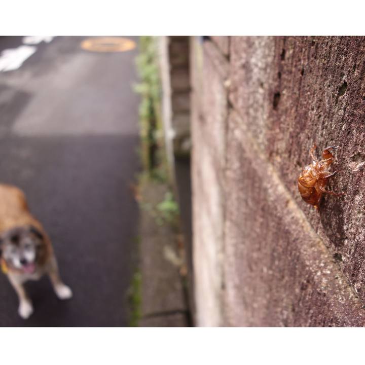 D15c0e5e d740 4675 b60a ff762cdb534c 1530924812331