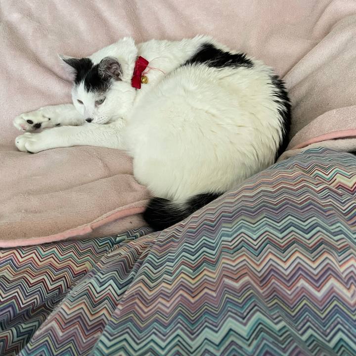 D15c112b a6f5 4dce 9542 b7a2043c6b28 1618792177992