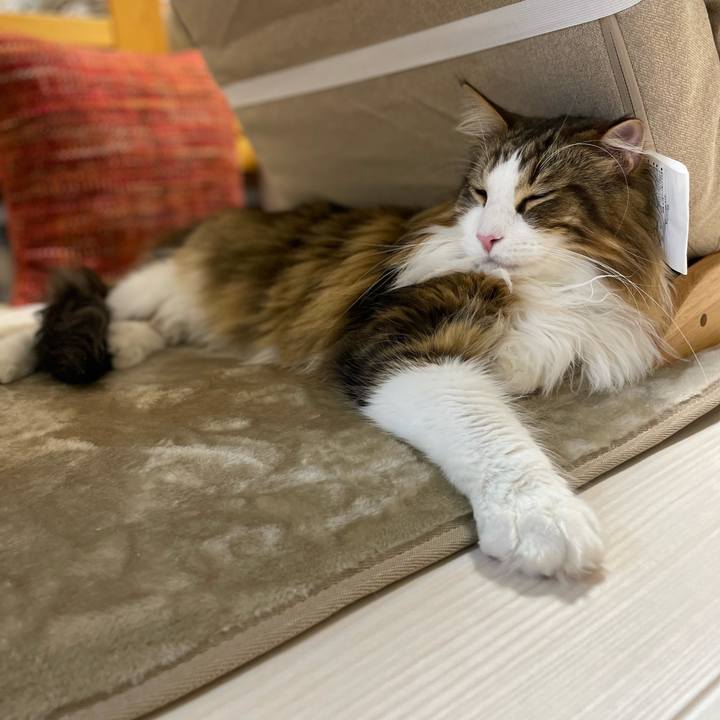 D15c2317 8d45 47ee 99a6 69a568bd6b63 1673266153309