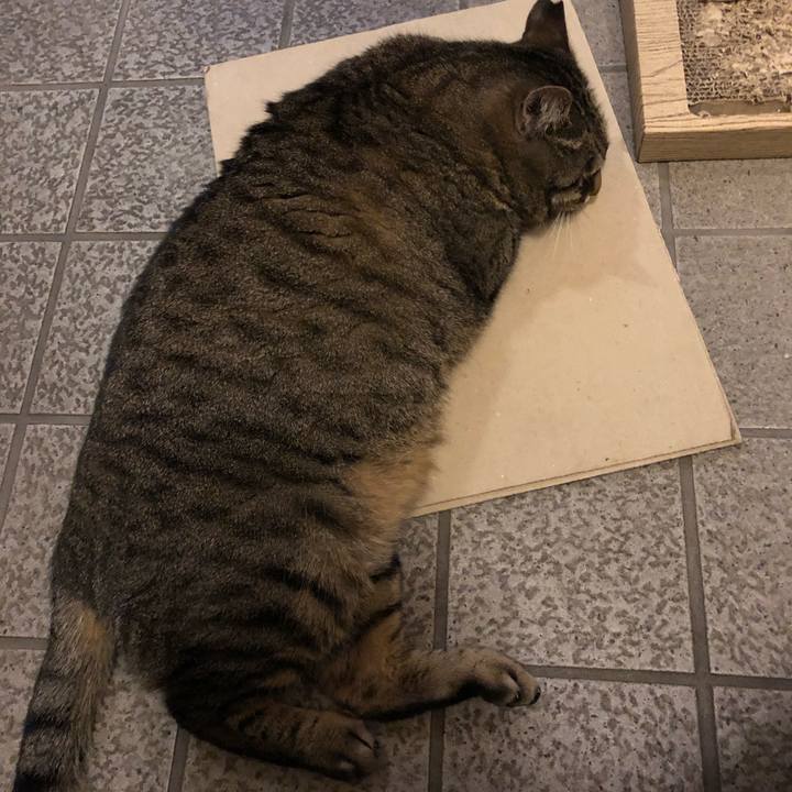 D15c2f8a 3a7d 4336 9364 c417dfc6d896 1583922388956