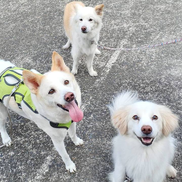 D15c385d a01d 48b6 9b20 65f223e0a589 1756249622042