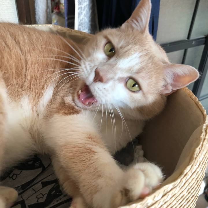 D15c52ac 9f26 4b4c 89b9 9faa0a50f7e5 1510613595689