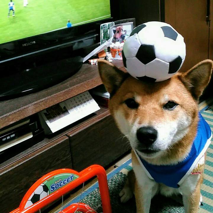 D15c8475 9905 4125 916f 40f6e5721b01 1539341112263