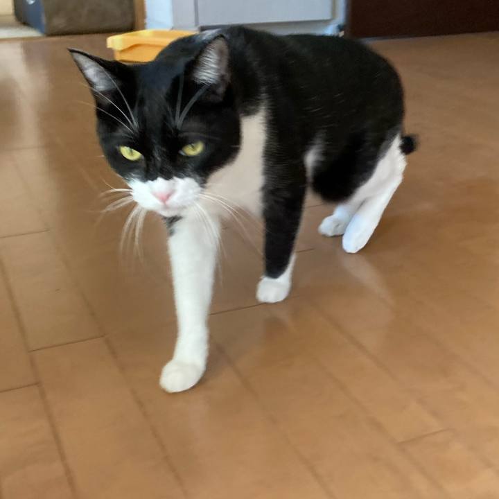 D15cc0a9 b1a8 4e7a 9788 12c2ea4c983e 1640828208800