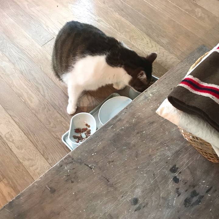 D15cfaa7 db32 4068 b434 c6bf8dee2262 1610249724988