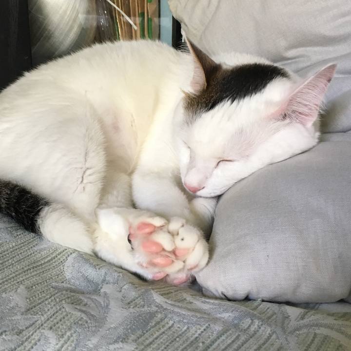 D15d22e6 1b7b 4022 9c03 c9e77c945a86 1529554993735