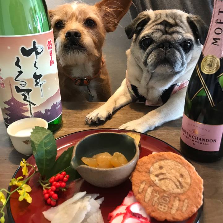 D15d47ff b574 4072 a806 72930eae1a22 1609462813455