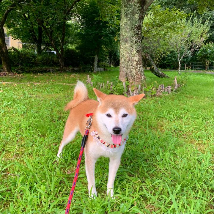 D15d5bb8 2f82 408f a8ff b9c914890036 1662289619079