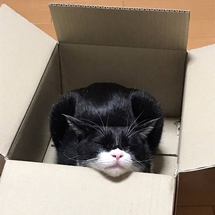 D15de4f0 612b 41c6 8116 a76d28405deb 1606014745806