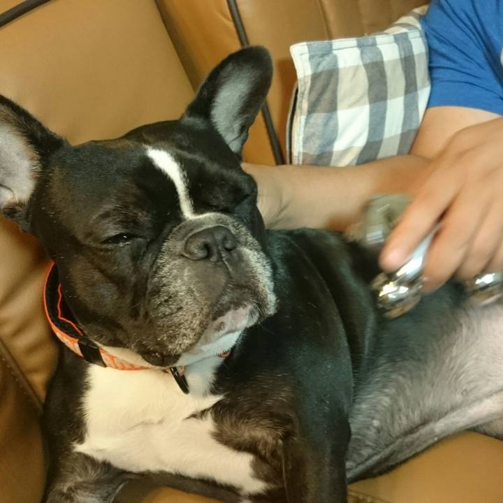 D15df287 1dc8 4444 aa5f e7216a2a16ff 1507973027125